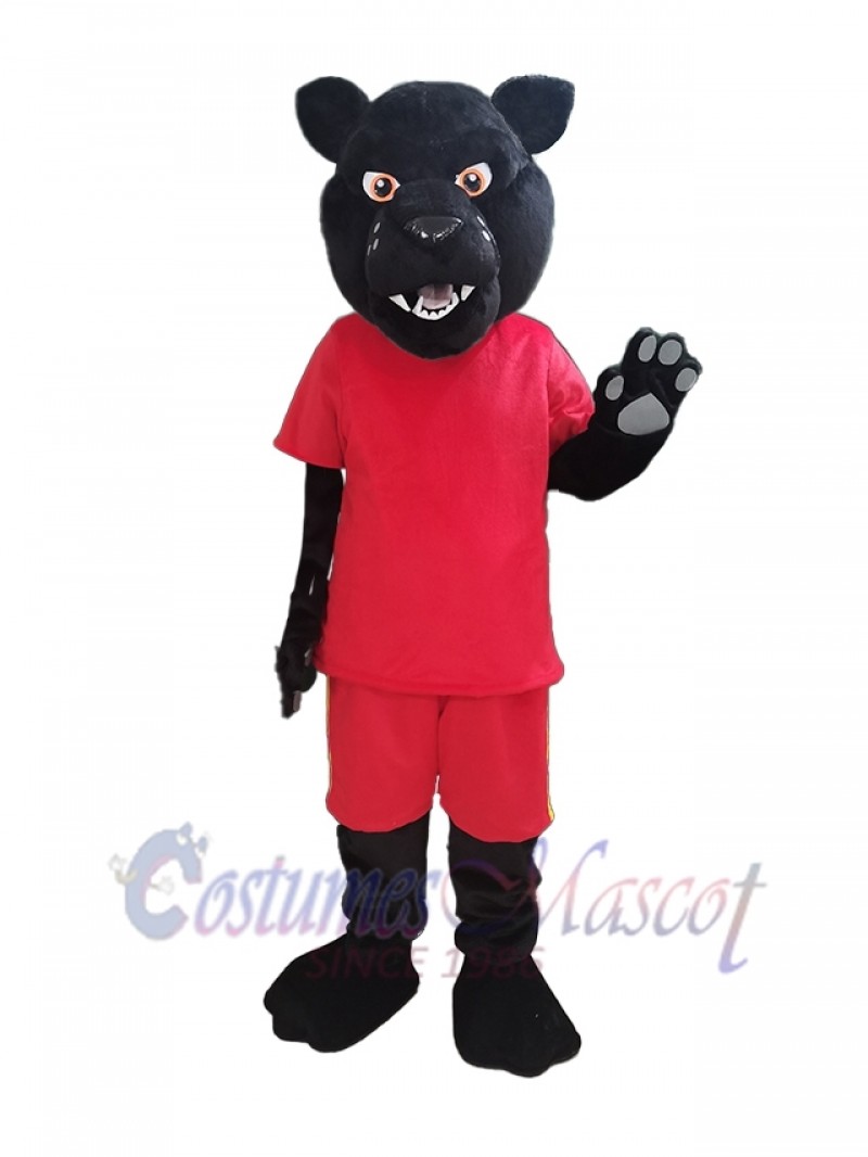 Panther mascot costume