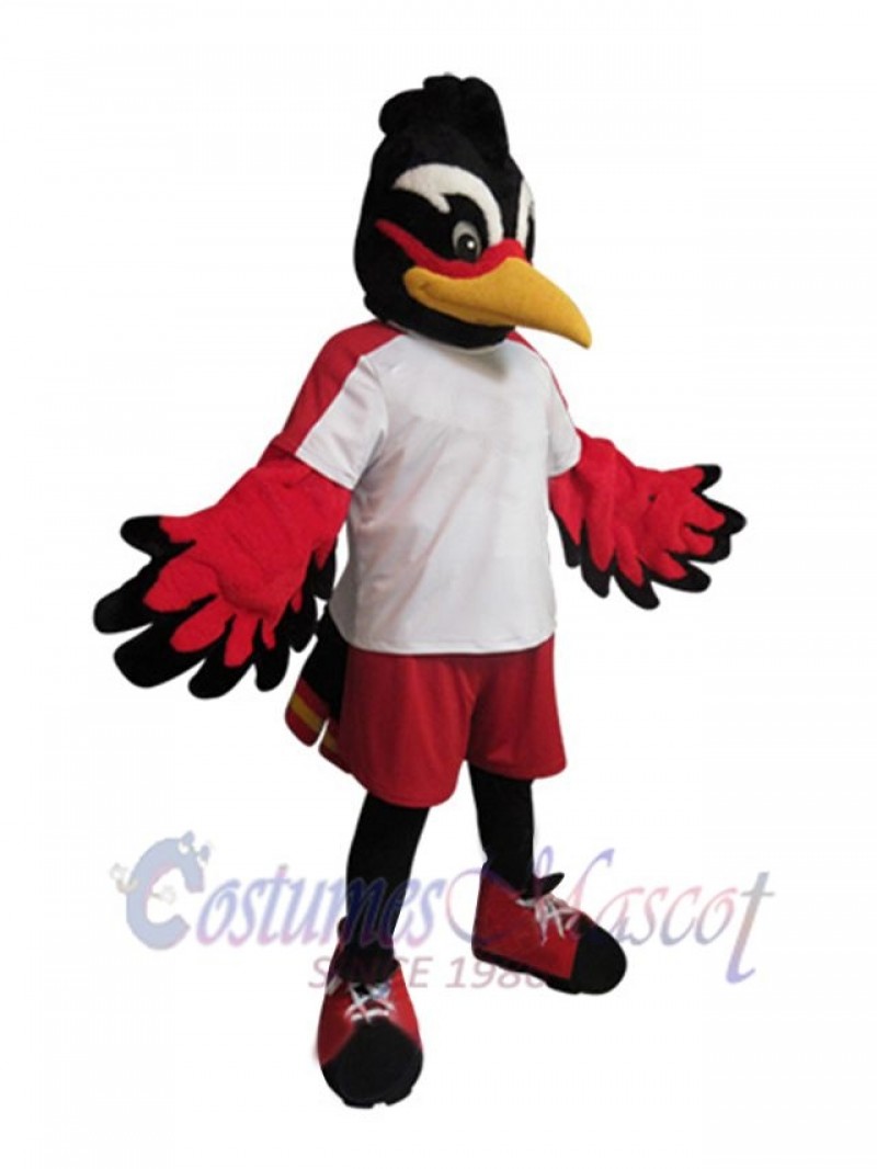 Roadrunner Bird mascot costume