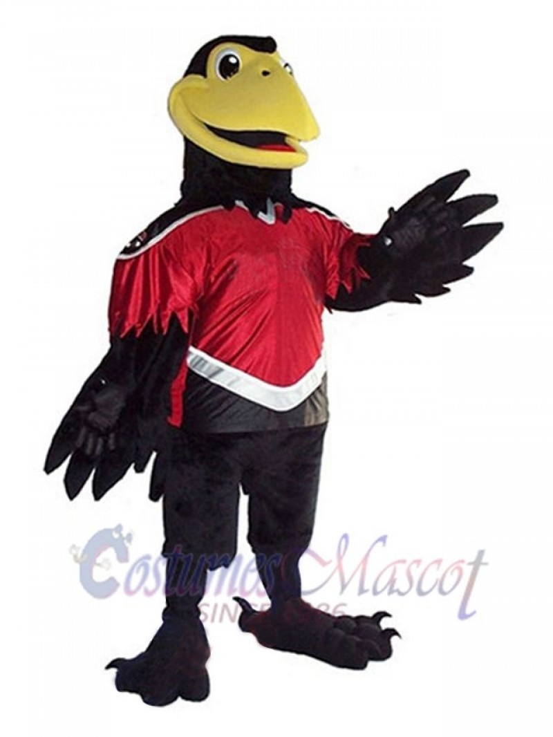 Crow mascot costume