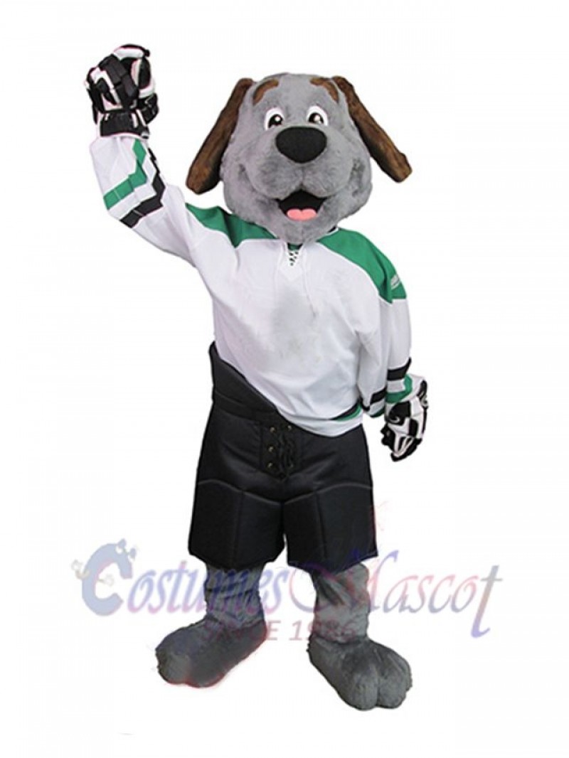 Dog mascot costume
