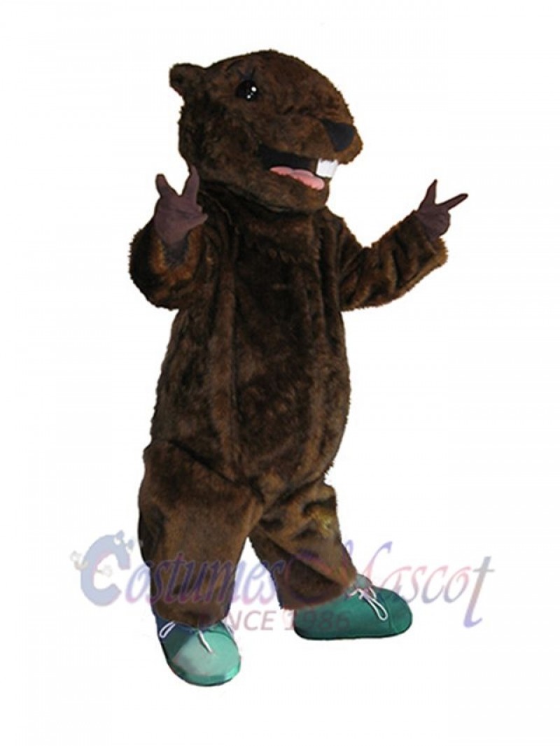 Beaver mascot costume