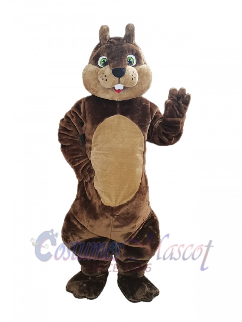 Squirrel mascot costume