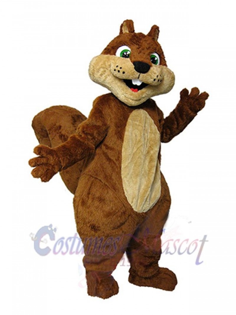 Squirrel mascot costume