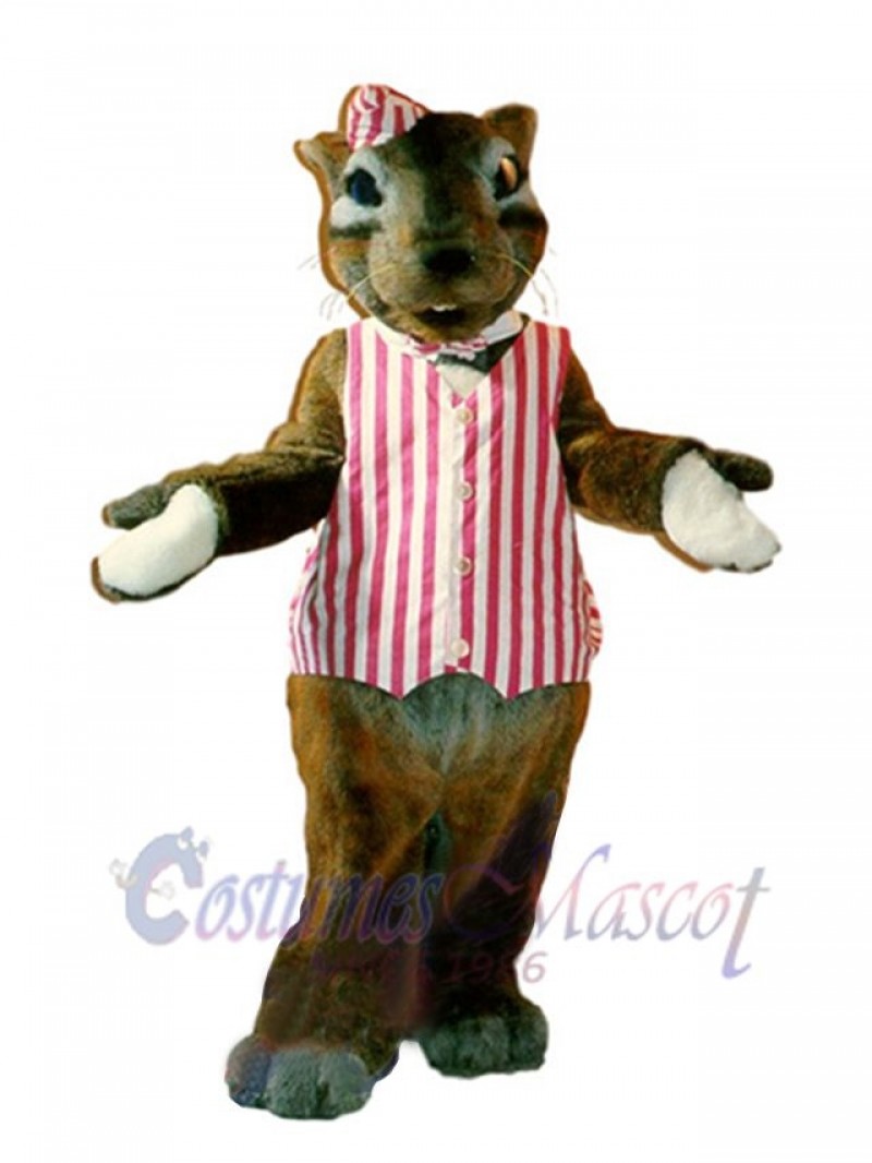 Chipmunk mascot costume