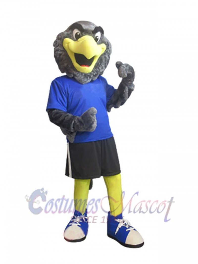 Falcon mascot costume