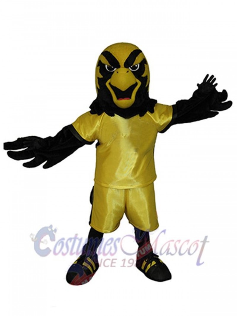 Falcon mascot costume