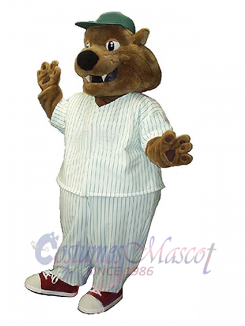 Cat mascot costume