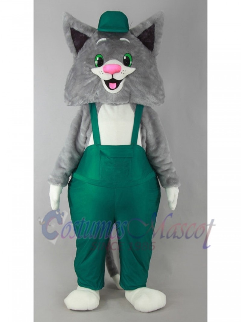 cat mascot costume