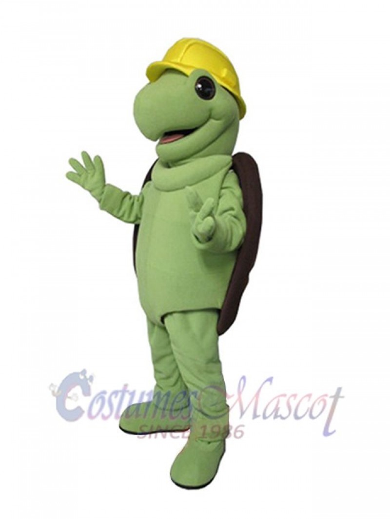 Turtle mascot costume