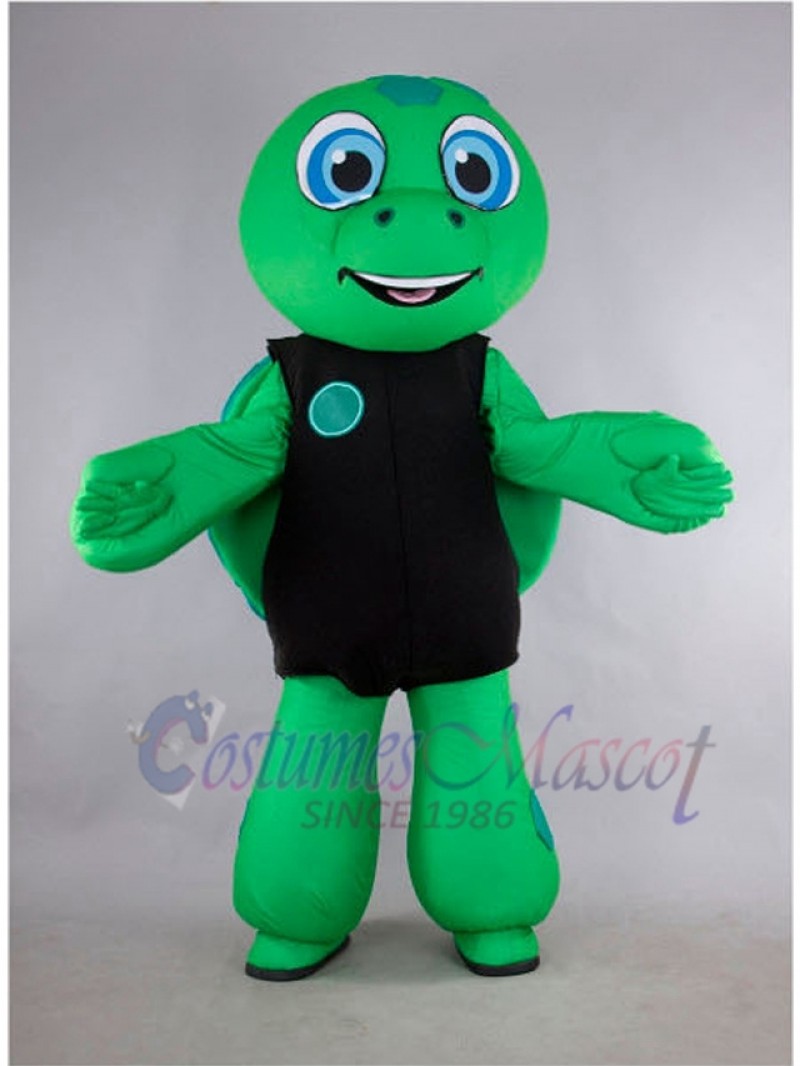 Turtle mascot costume