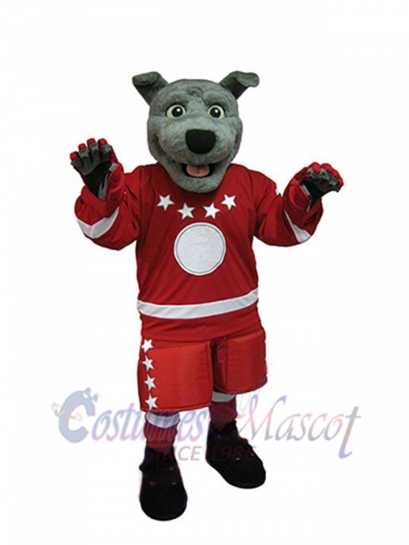 Dog mascot costume