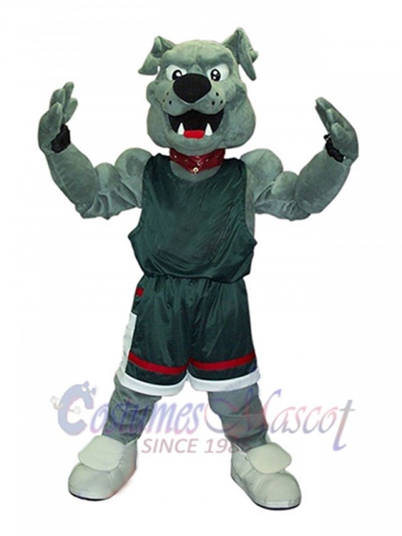 Dog mascot costume