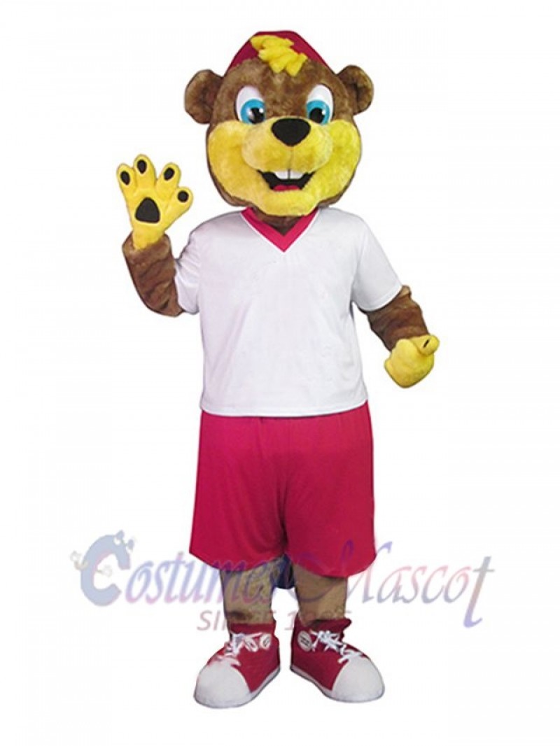 Bear mascot costume