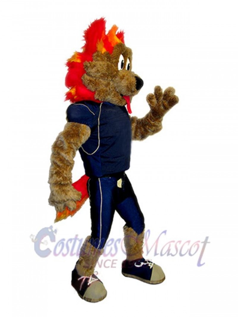 Coyote mascot costume