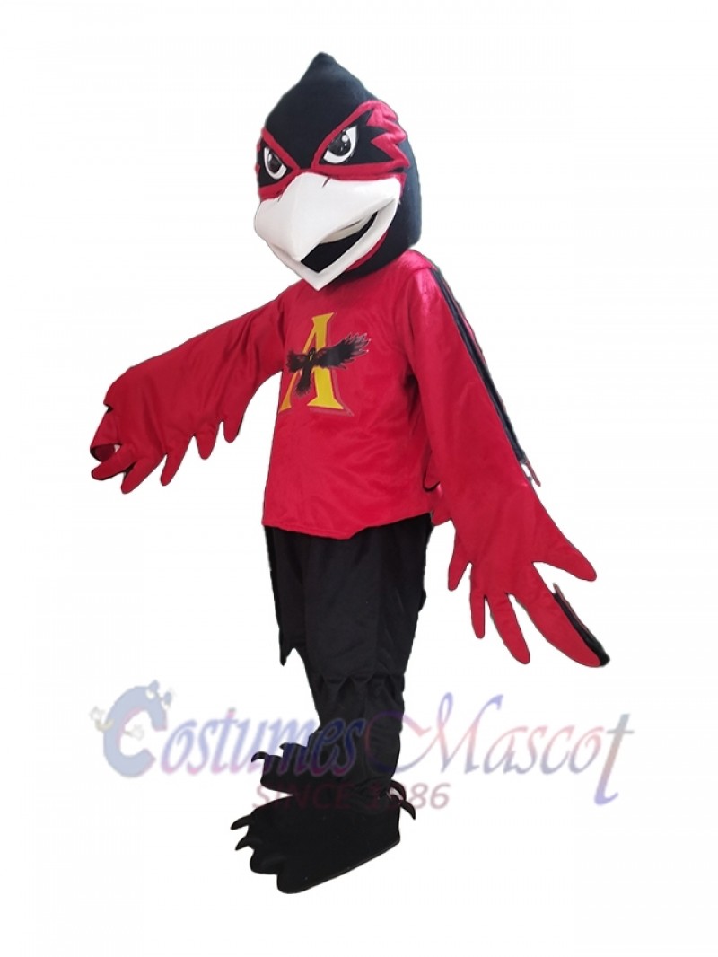 Raven mascot costume