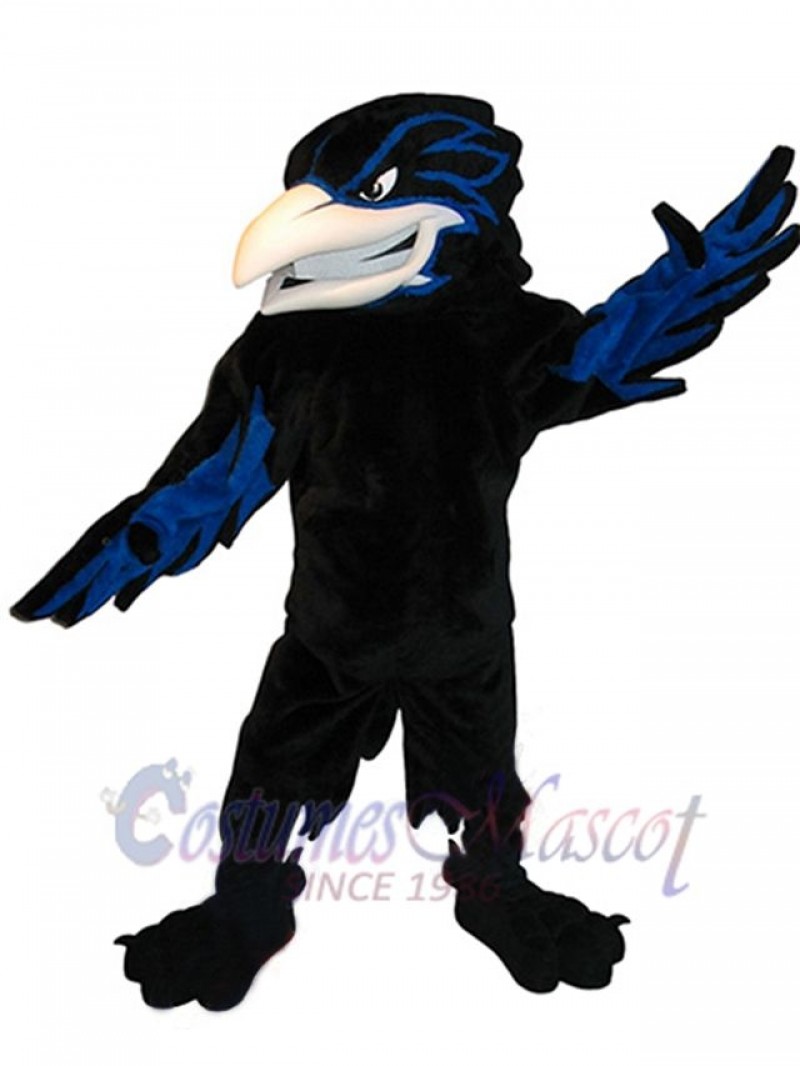 Raven mascot costume