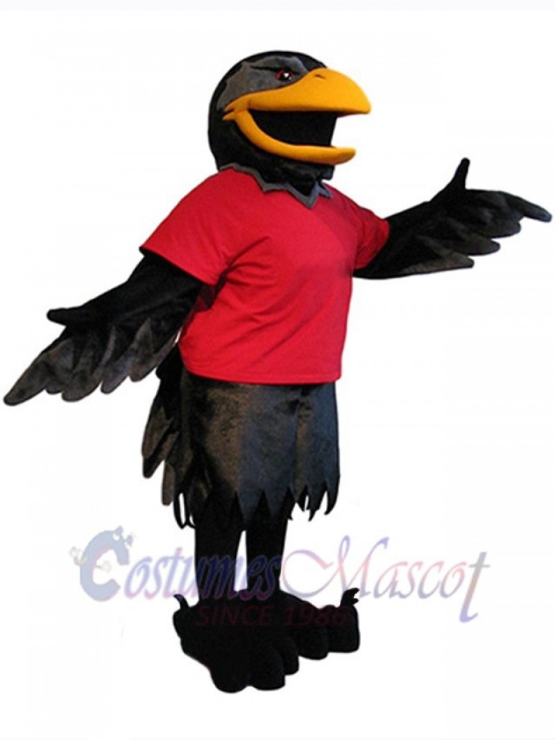 Raven mascot costume