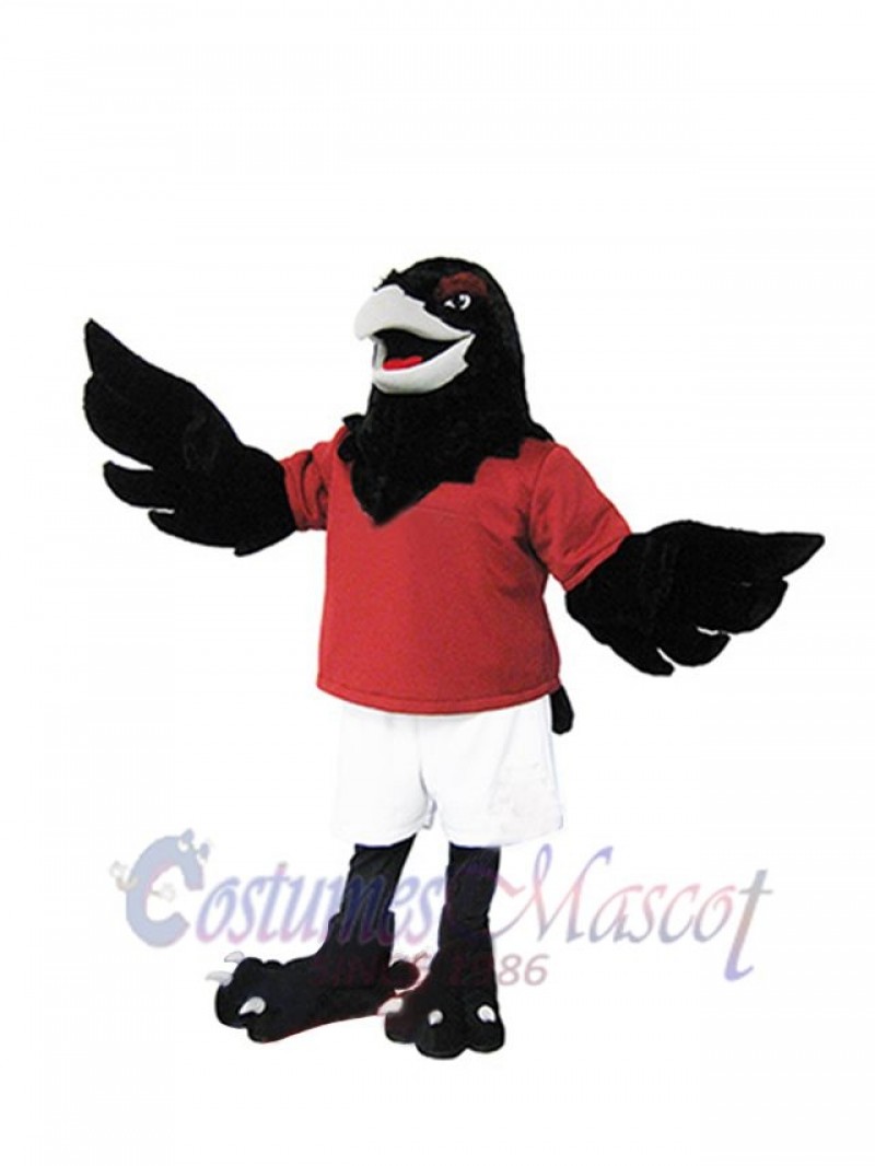 Raven mascot costume