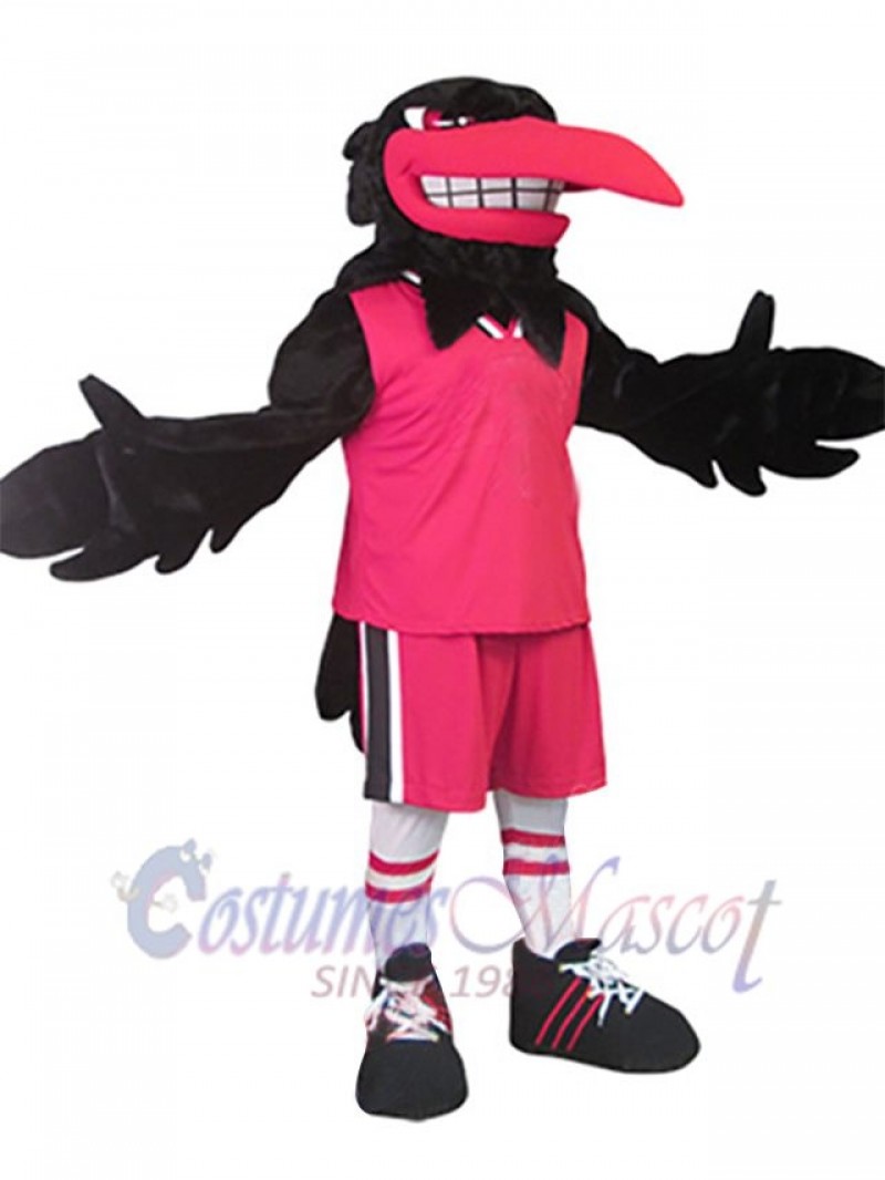 Raven mascot costume