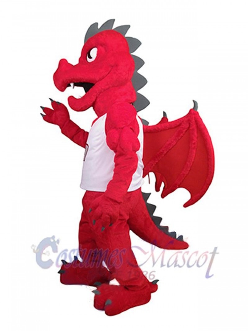 Dragon mascot costume