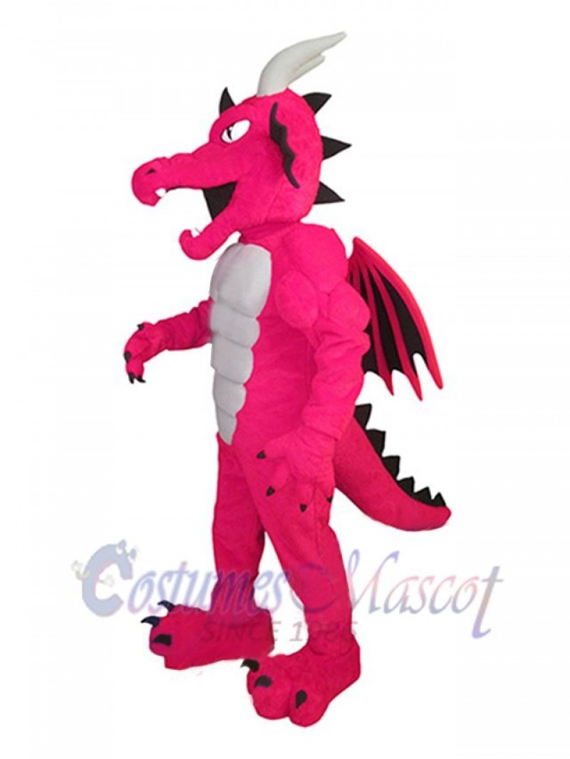 Dragon mascot costume
