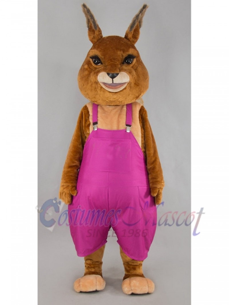 rabbit mascot costume