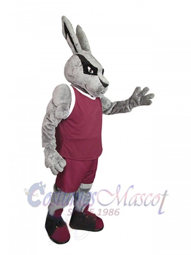 Easter Bunny Rabbit mascot costume