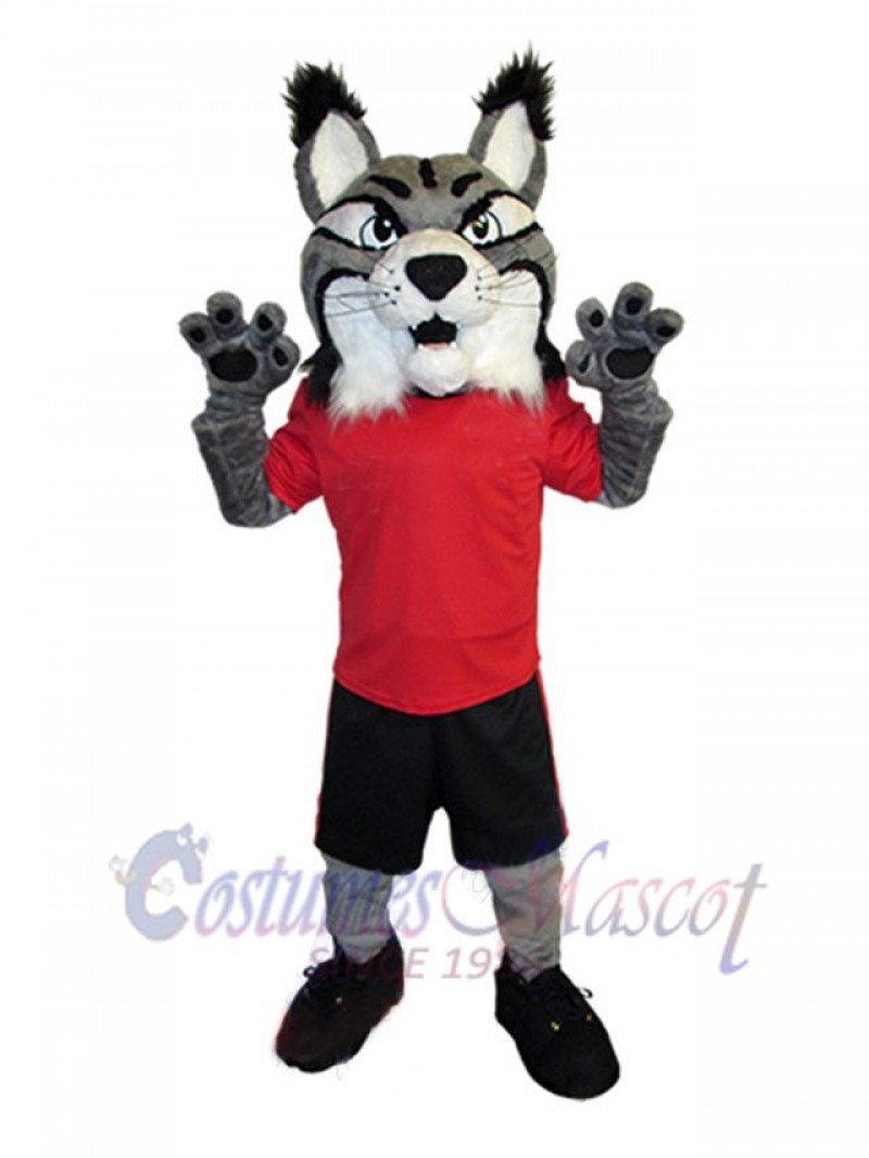 Lynx mascot costume
