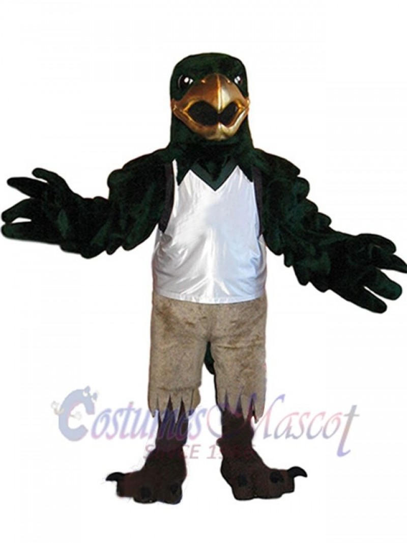 Falcon mascot costume