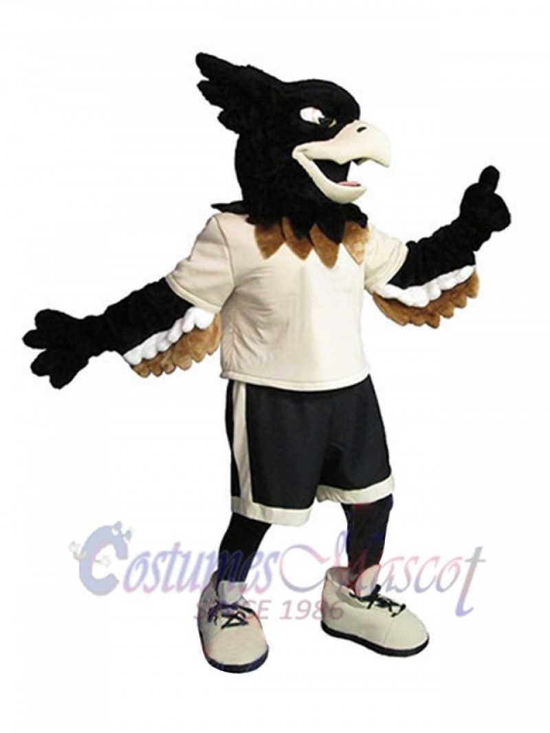 Falcon mascot costume