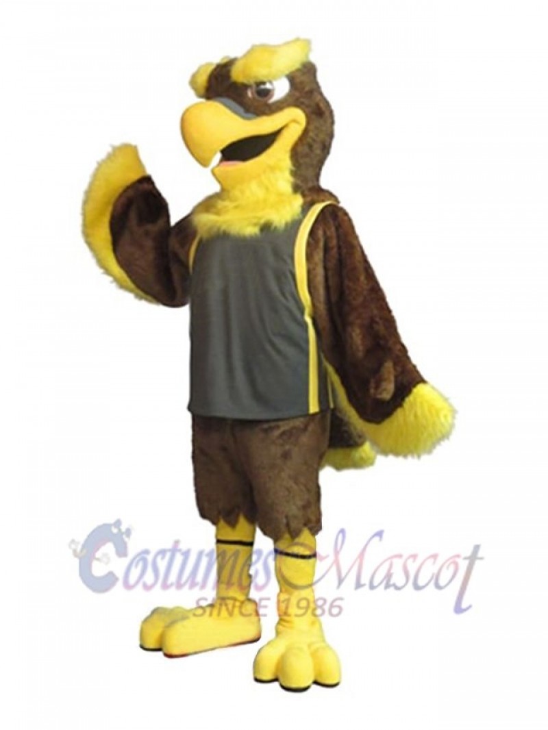 Falcon mascot costume