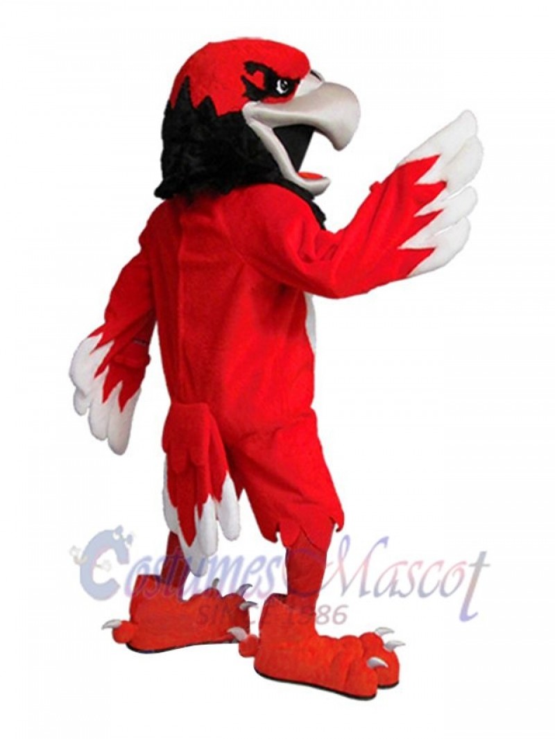 Hawk mascot costume