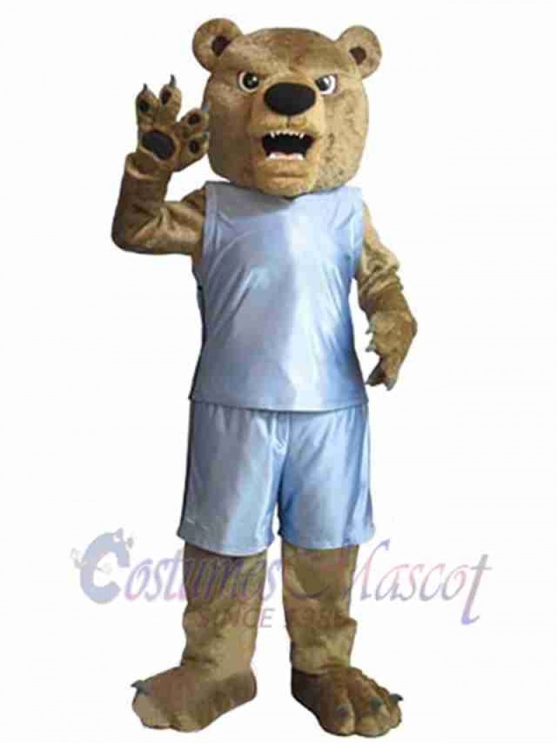 Bear mascot costume