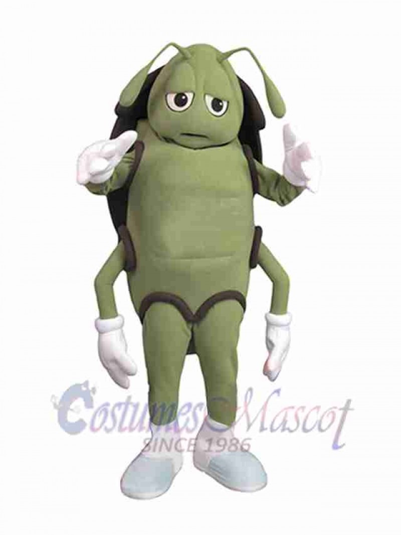 Cockroach mascot costume