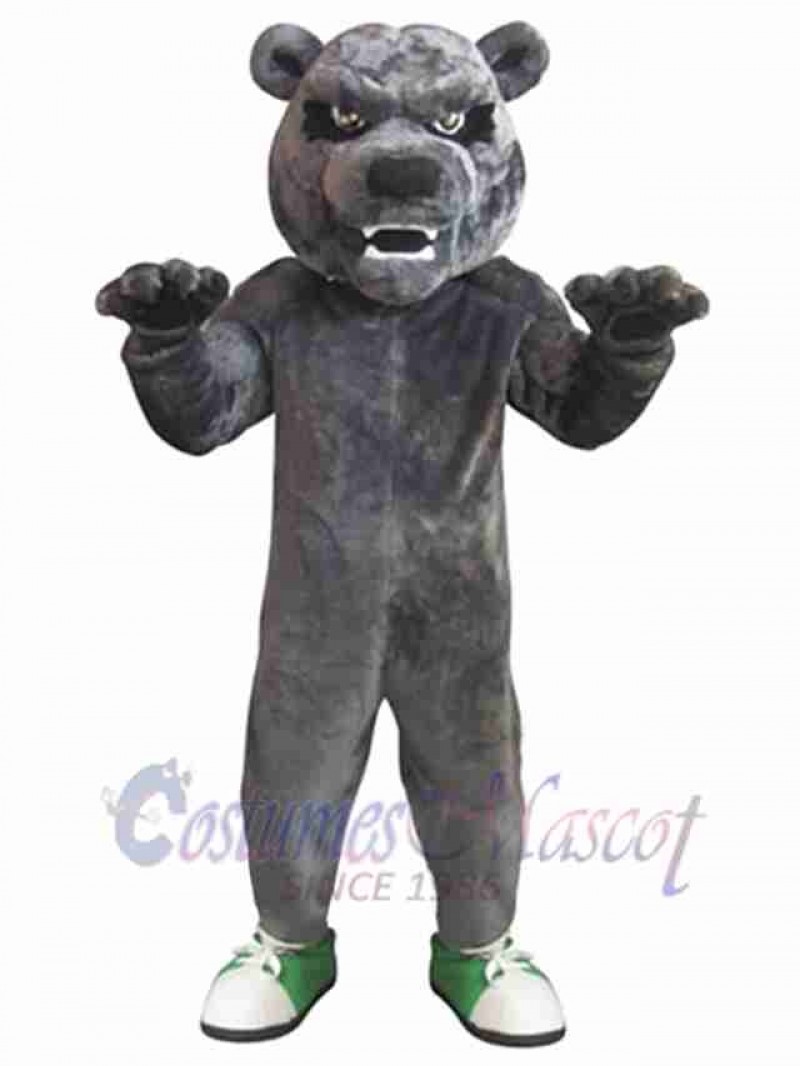 Bear mascot costume