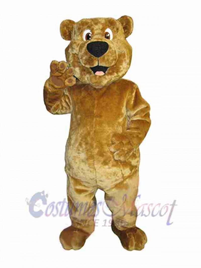 Bear mascot costume