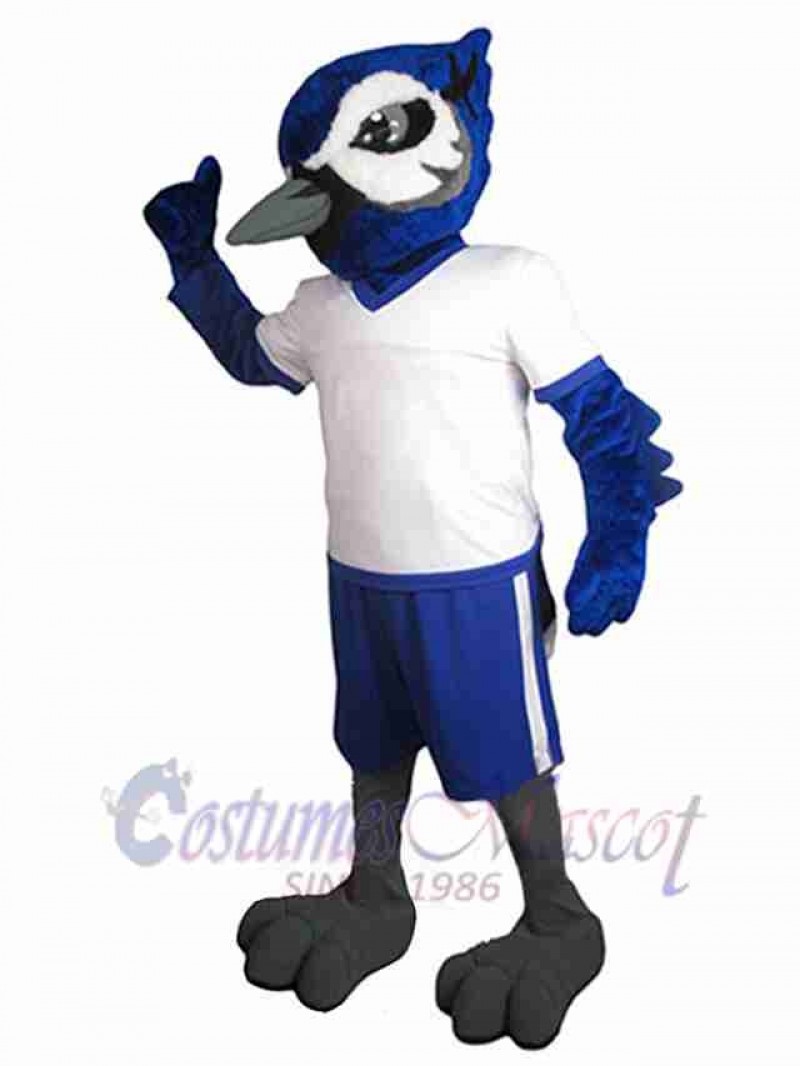 Bird mascot costume