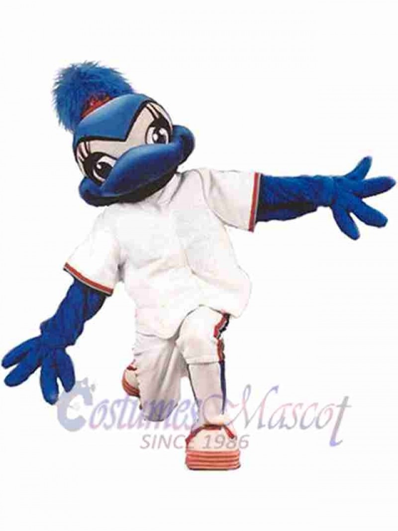 Bird mascot costume