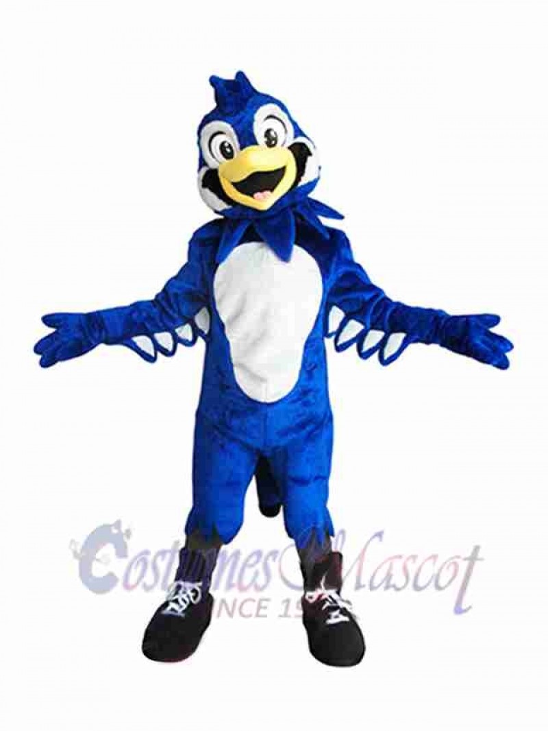 Bird mascot costume