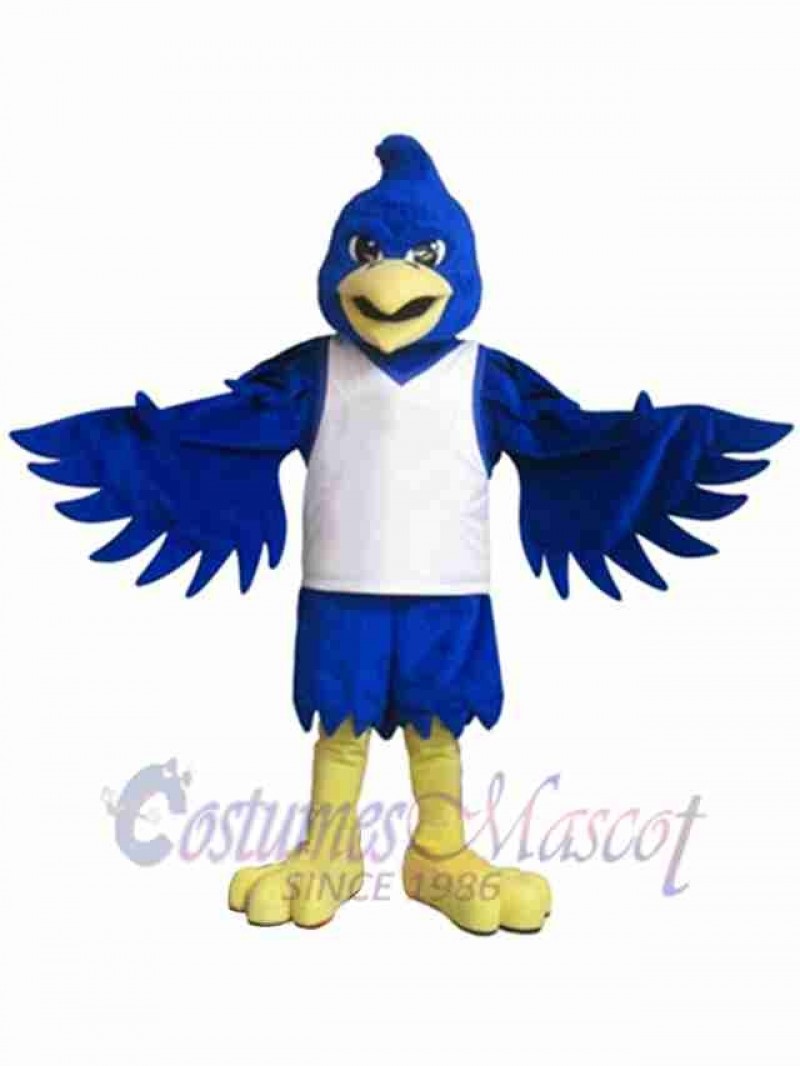 Bird mascot costume