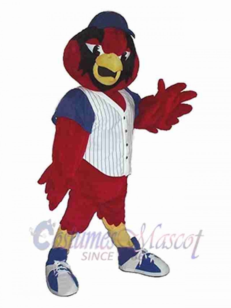 Bird mascot costume