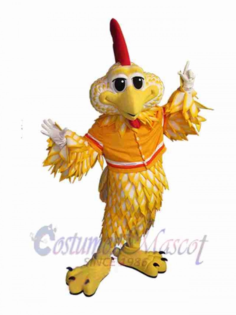 Bird mascot costume