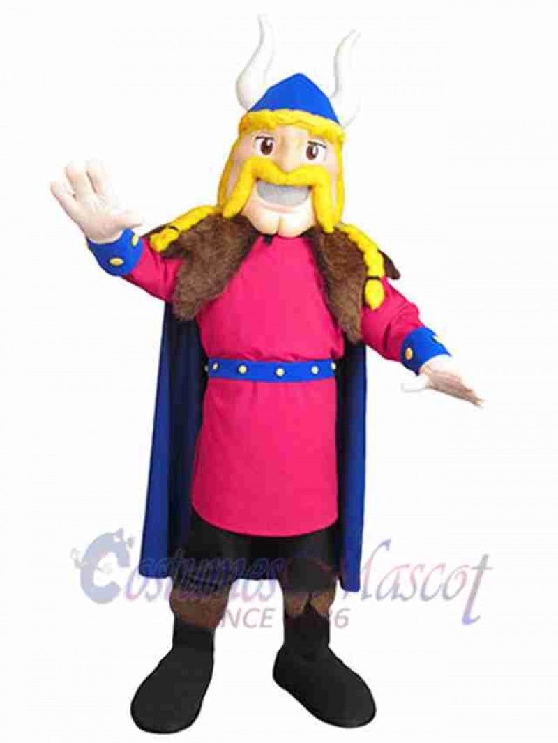 Viking mascot costume