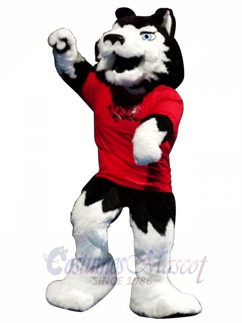Superb College Wolf Mascot Costume 