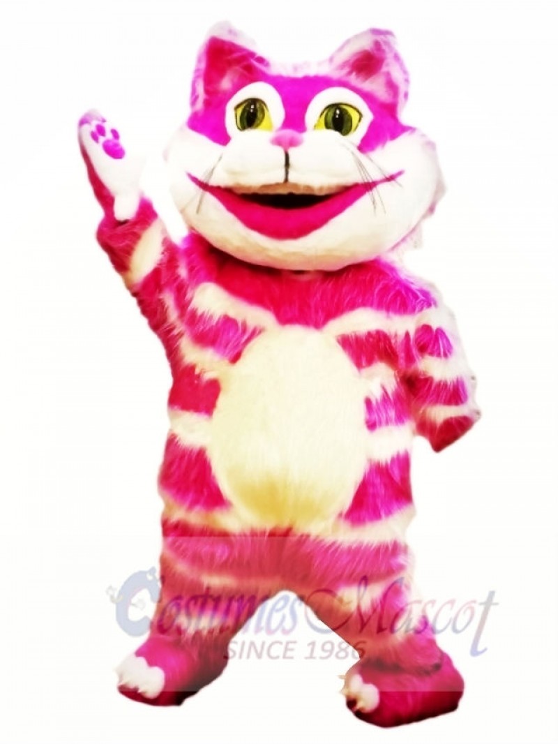 Cheshire Cat Mascot Costumes