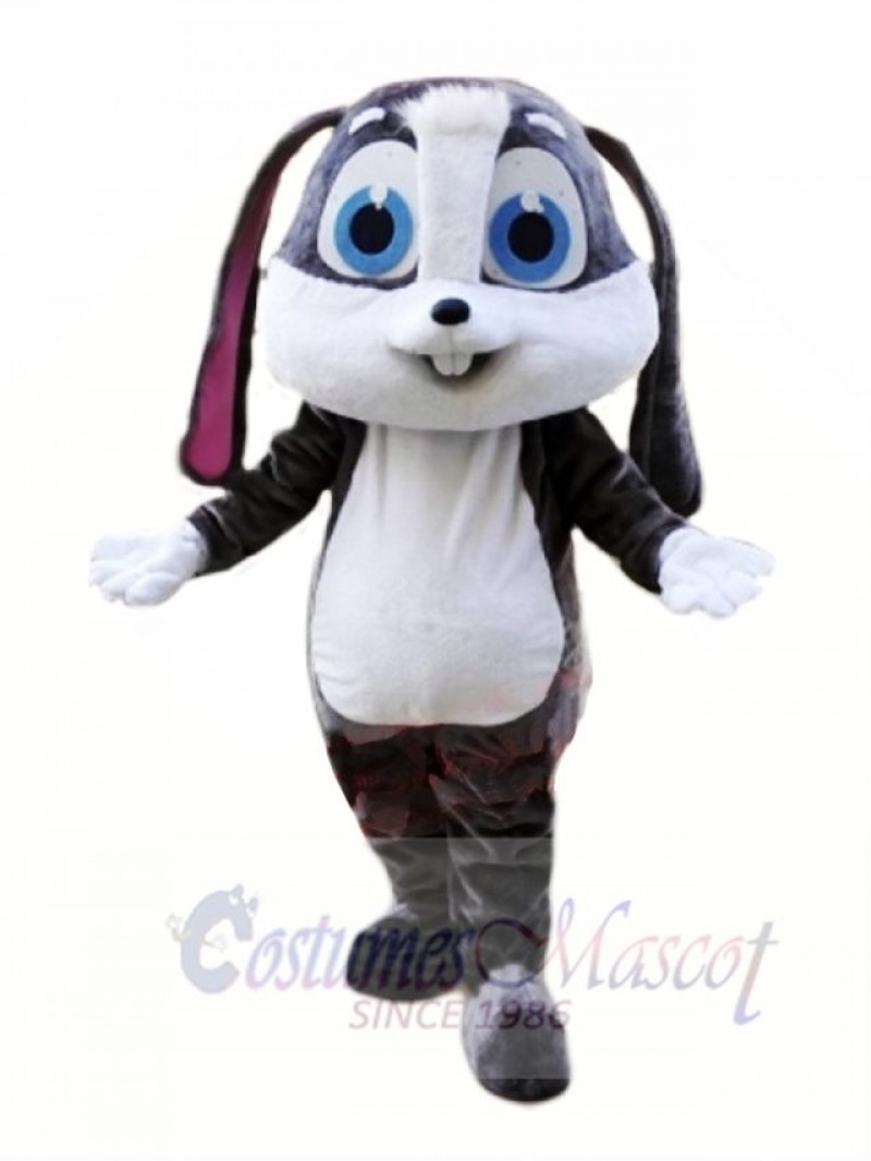 Cartoon Bunny Mascot Costumes Animal