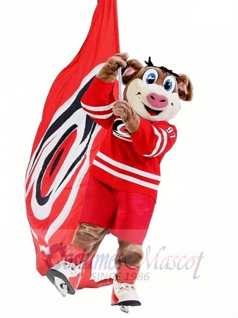 Carolina Hurricanes Stormy Mascot Costume