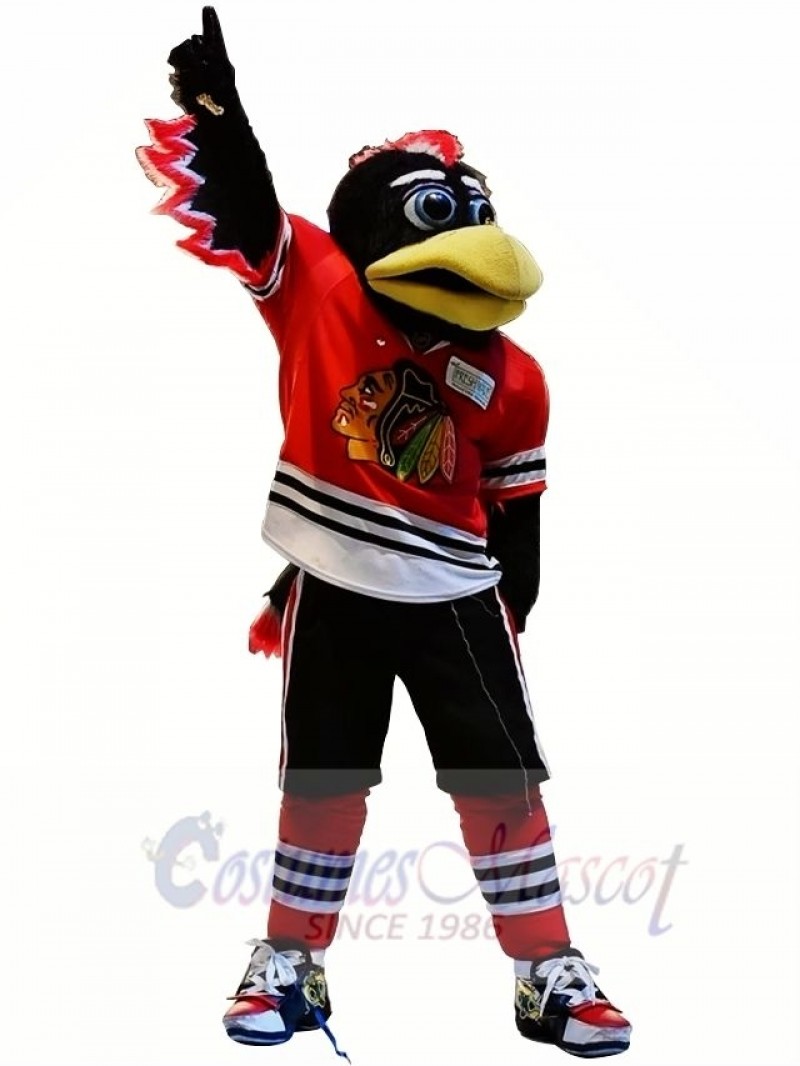 Chicago Blackhawks Tommy Hawk Mascot Costume 