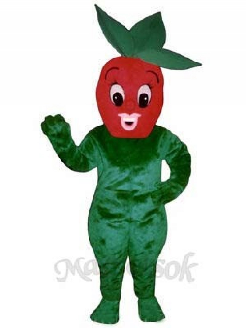 Sherry Strawberry Mascot Costume