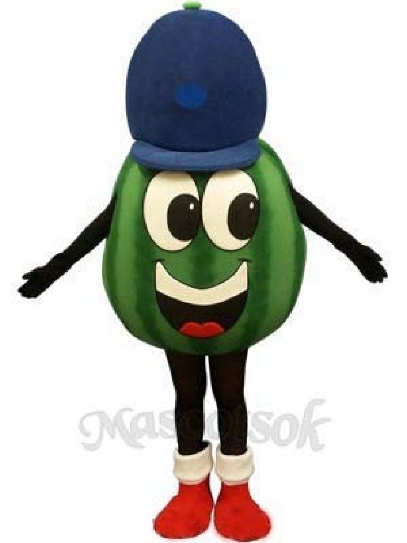 Madcap Watermelon Mascot Costume